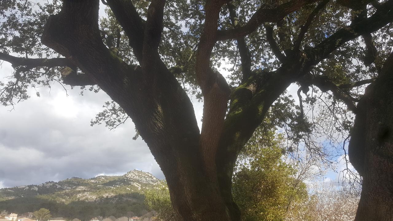Neuf Le Taoume Appartement Marseilles