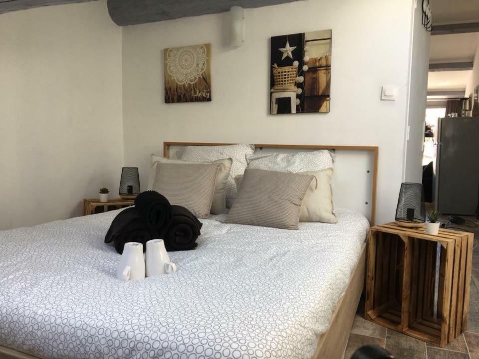 T2 Le Loft De Steenia *