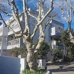 Charmant Appartement Avec Jardin A 500M Des Plages Prado Borely