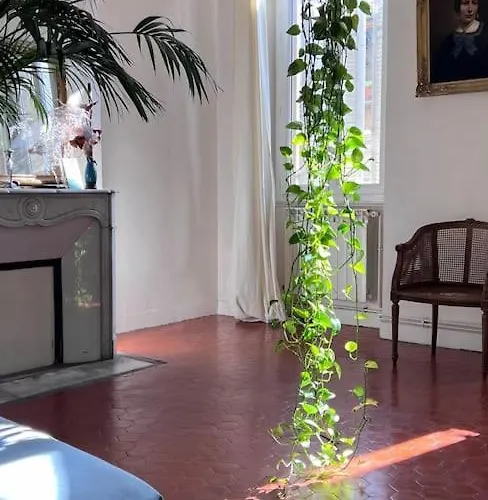 Grand Appartement Lumineux