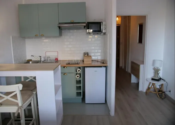 Agreable Appartement Residence Flotte, 8Eme Arrondissement