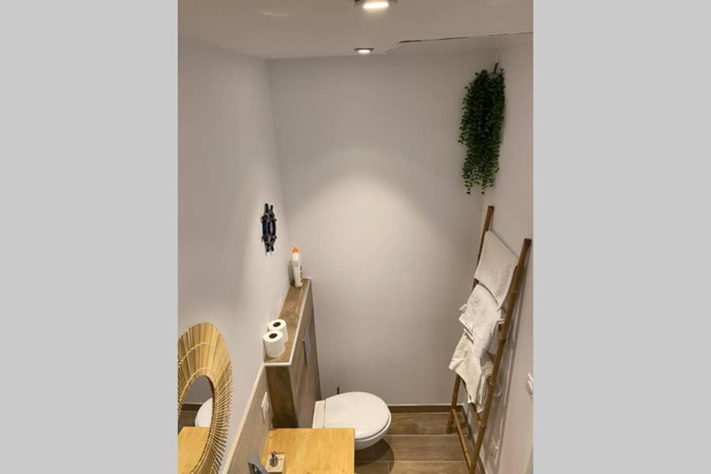 Apartment Coeur Panier - Charmant T2 Entierement Equipe
