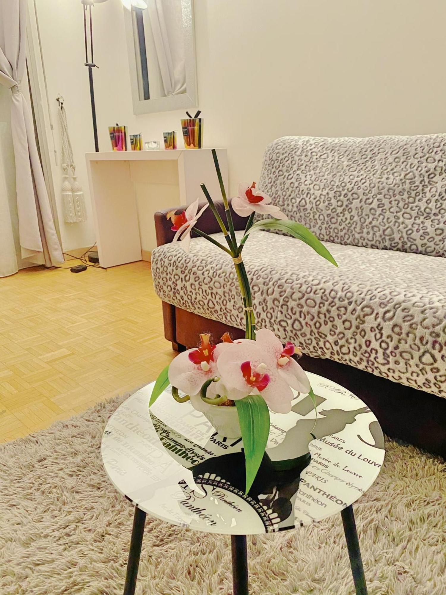 Stade Velodrome Appartement