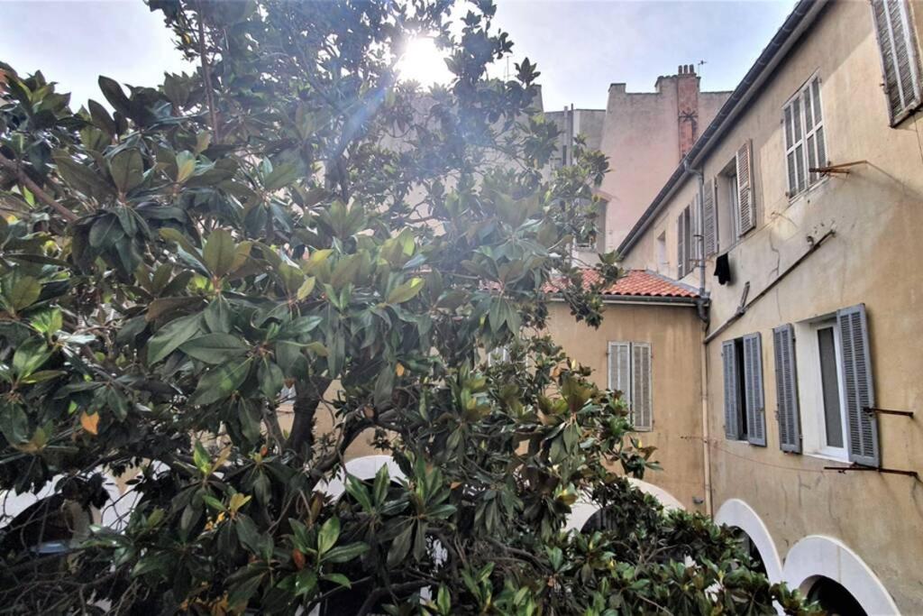 Coste Investissement- Le Petit Panier Apartment *