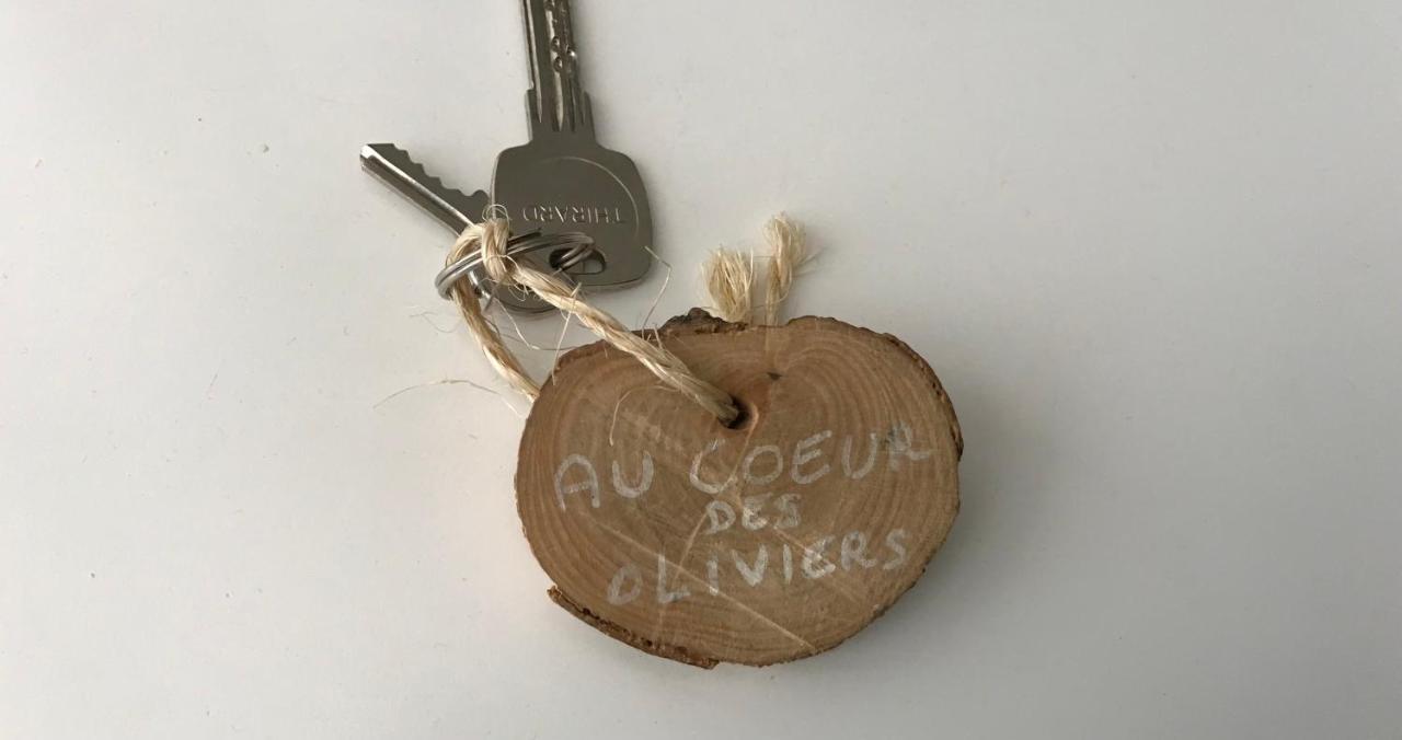 D Hotes Au Coeur Des Oliviers * Marseille