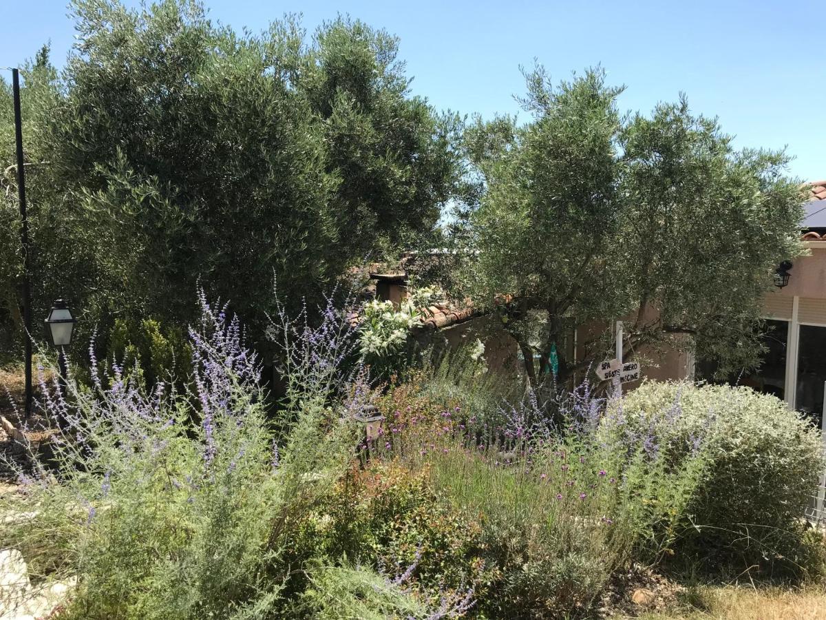 D Hotes Au Coeur Des Oliviers Ở trọ Marseille