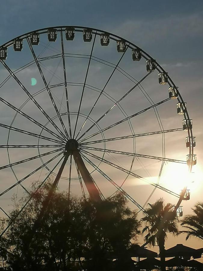 : Joli T2 Et Collines + Terrasse * Marseilles