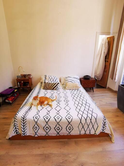 Spacieux Et Lumineux Apartment Marseille