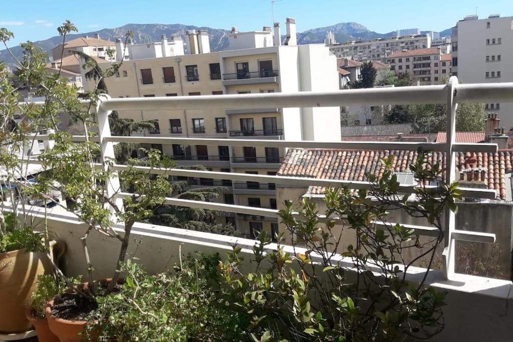 Logement Au Coeur De * Marseille