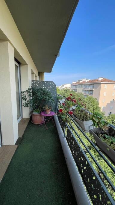 Logement Au Coeur De Marseille