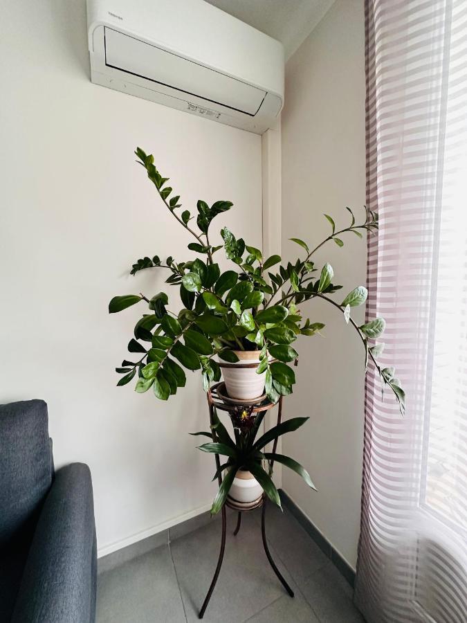 Le Soulier De Notre Dame Apartamento Marselha