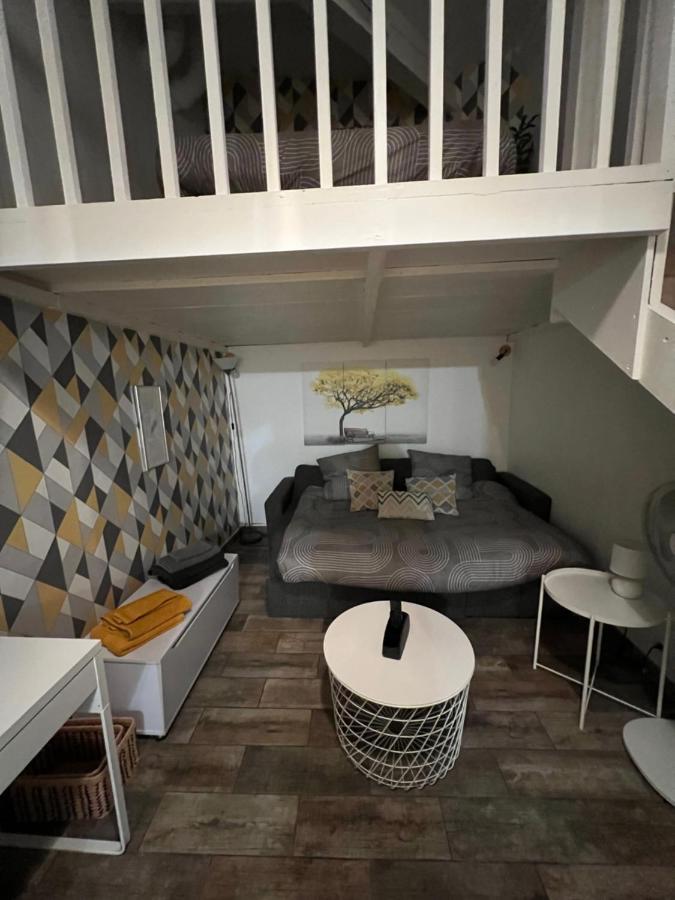 Scandinave De Steenia Marseilles