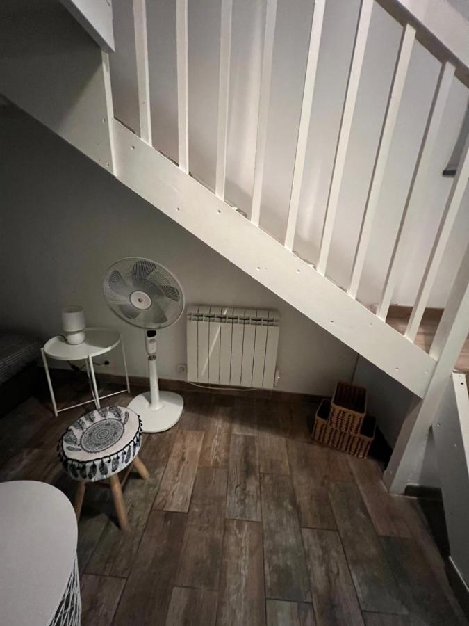 Scandinave De Steenia * Marseilles