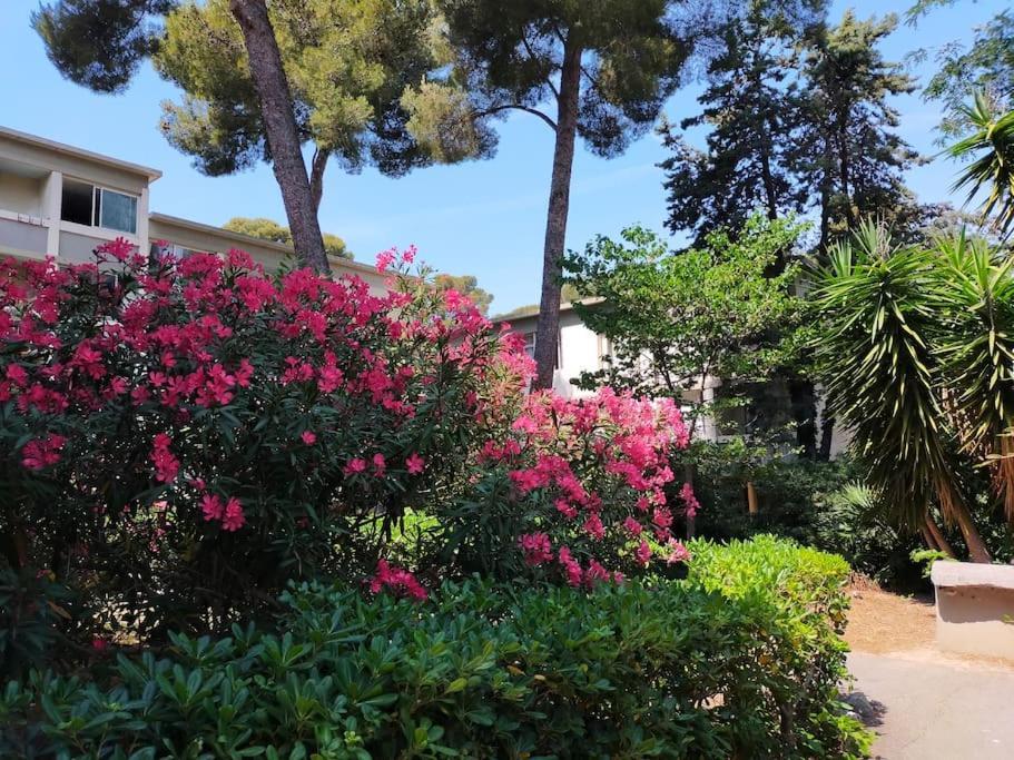 Cigalou Sous Les Pins Apartamento
