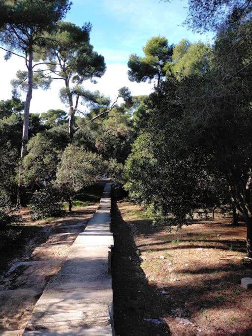 Apartamento Cigalou Sous Les Pins *