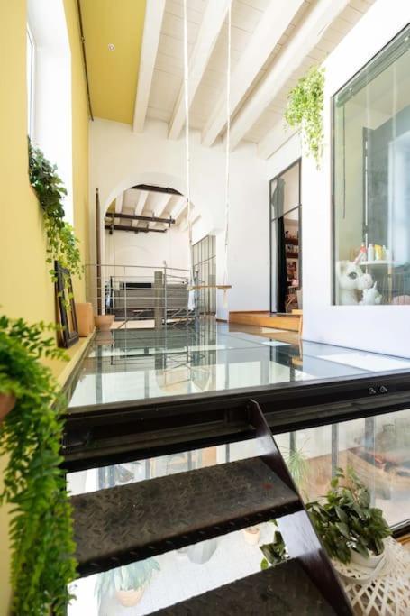Appartement Le Loft Du Vieux-port - St Victor
