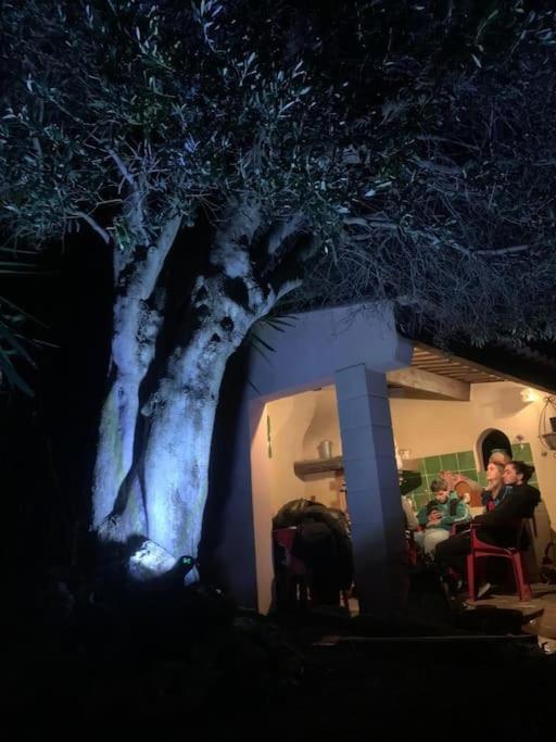 Agreable Maison Provencale Avec Jardin Сasa de vacaciones *