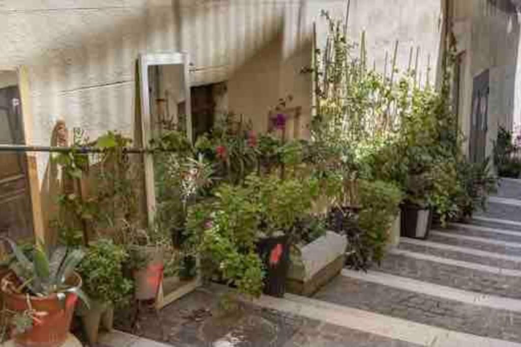 Apartment Superbe Decore Quartier Joliette Marseilles