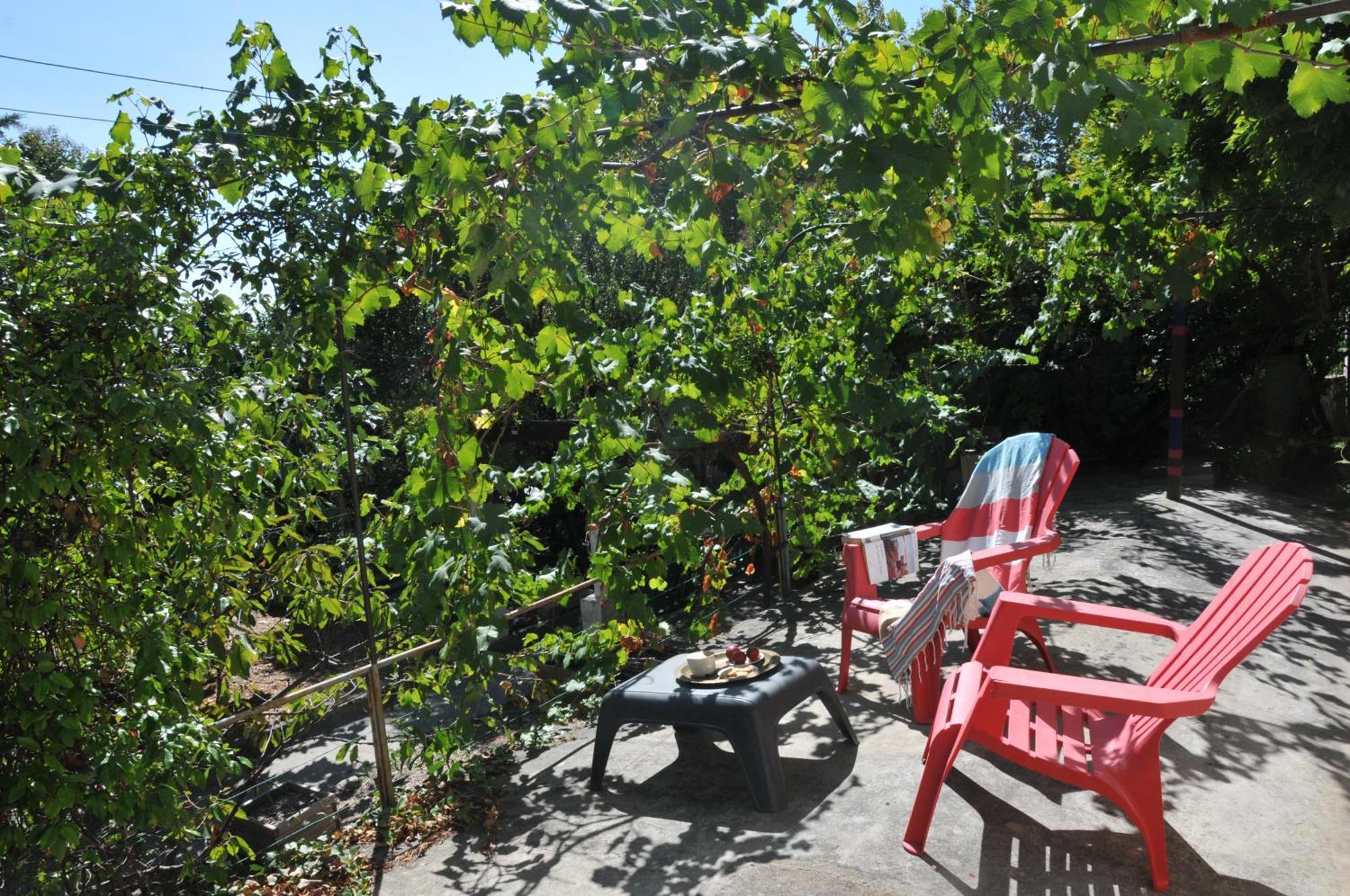 Maison Entiere Avec Un Grand Jardin A 15 Min Du Centre En Transports: Bienvenue A Qg ! Villa