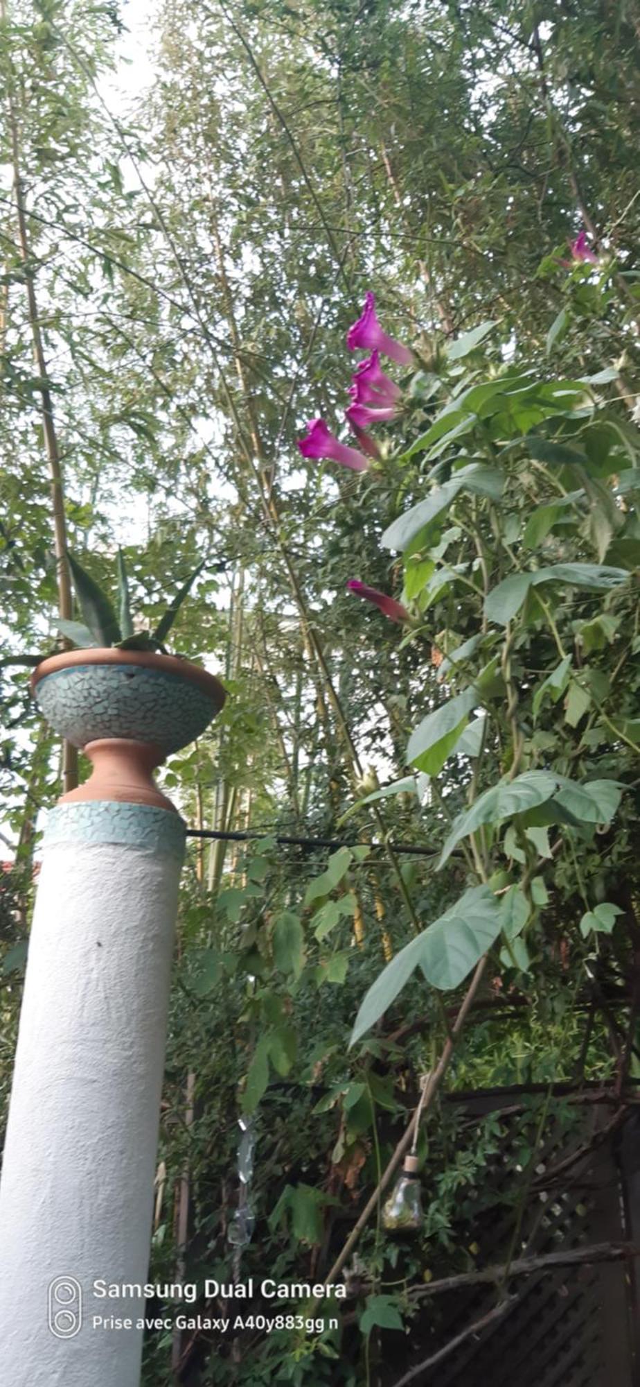 Holiday home Maison Et Terrasse Dans Le Jardin Du Chateau De Gaillard *