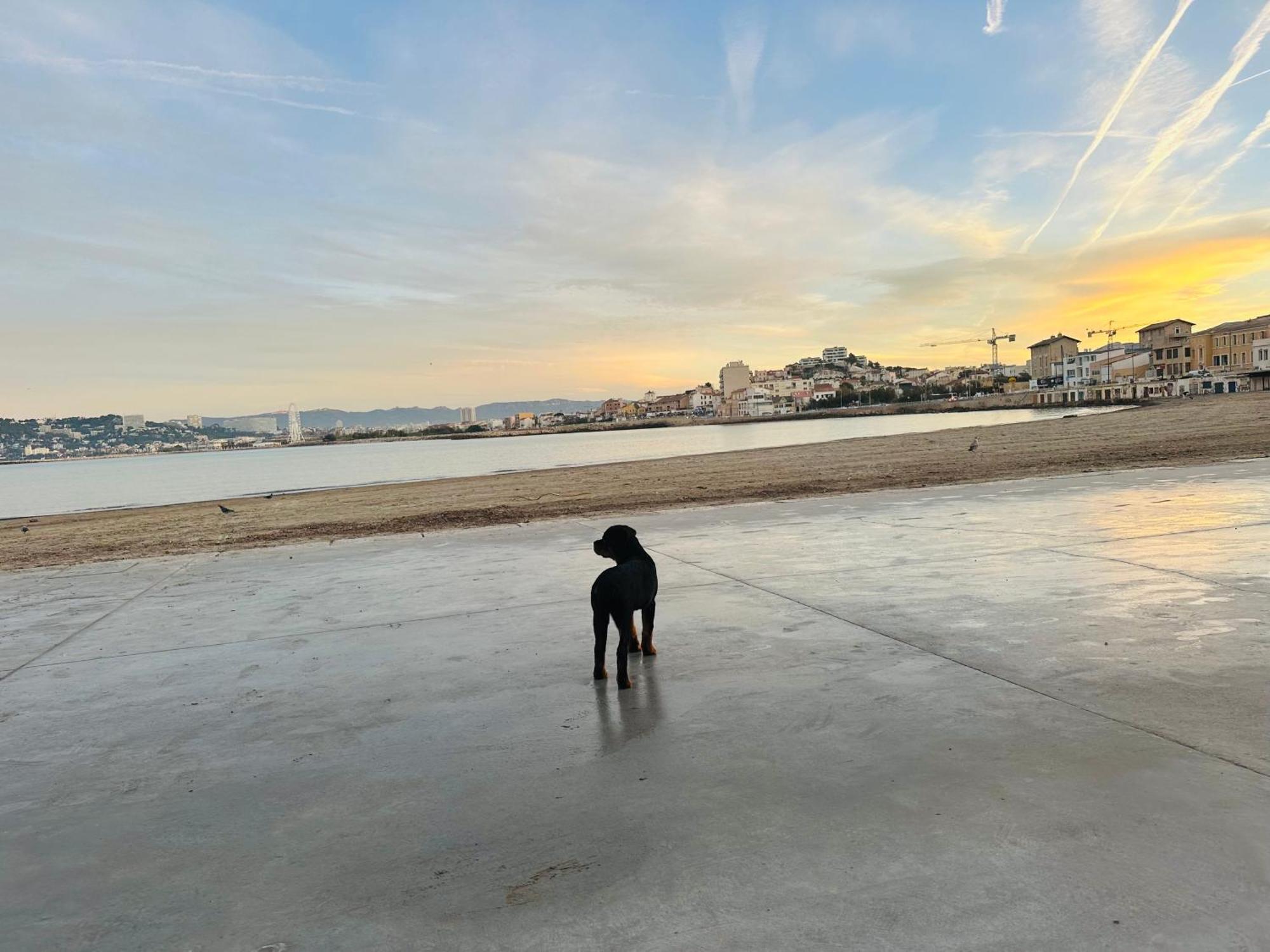 L'enraguer Appartement Marseilles