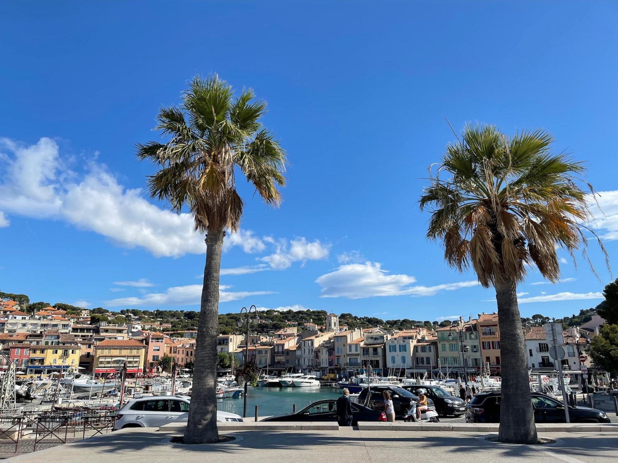 Grand Cedre Villa *