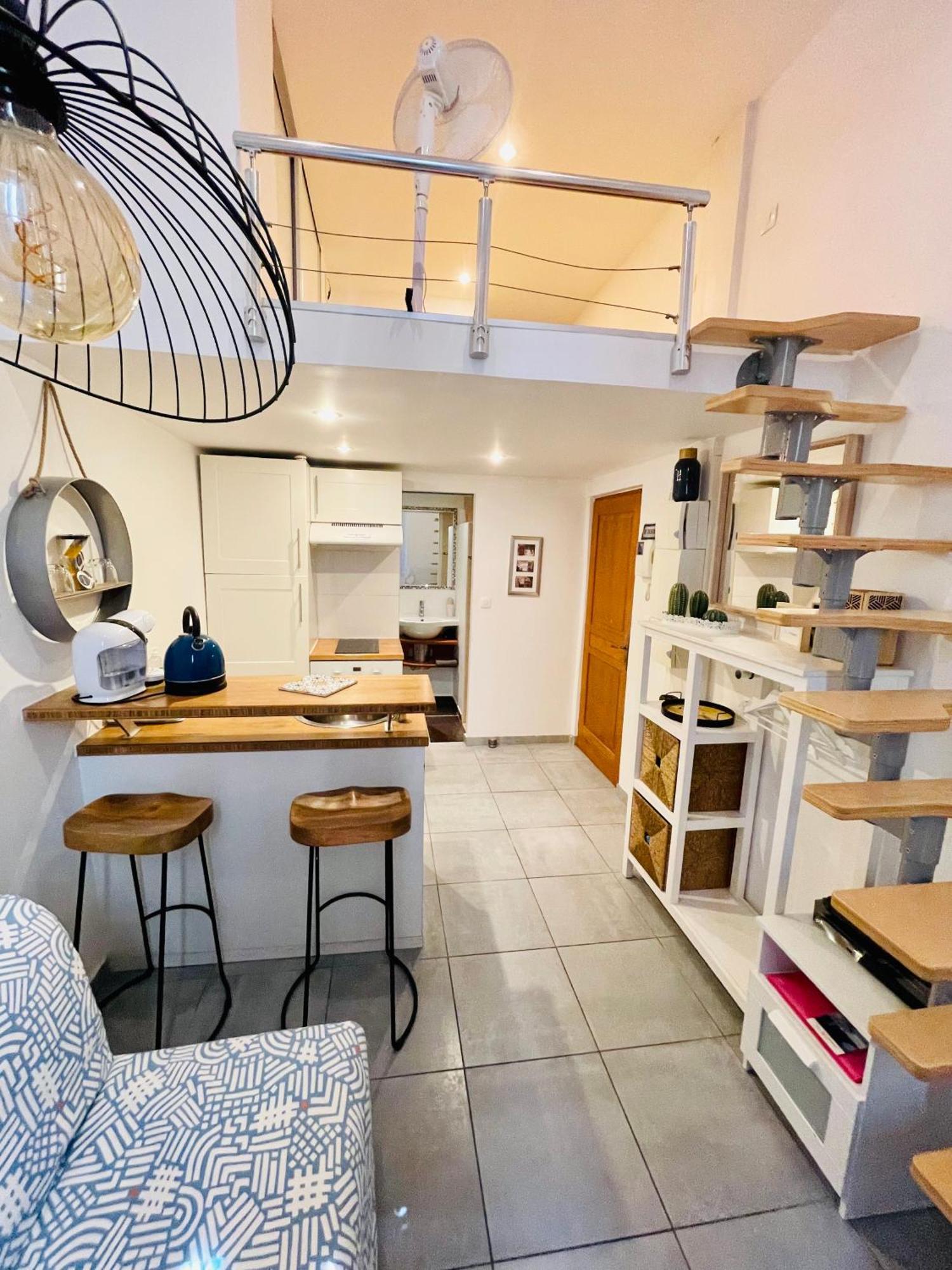 Ravissant En Plein Centre De Apartment *