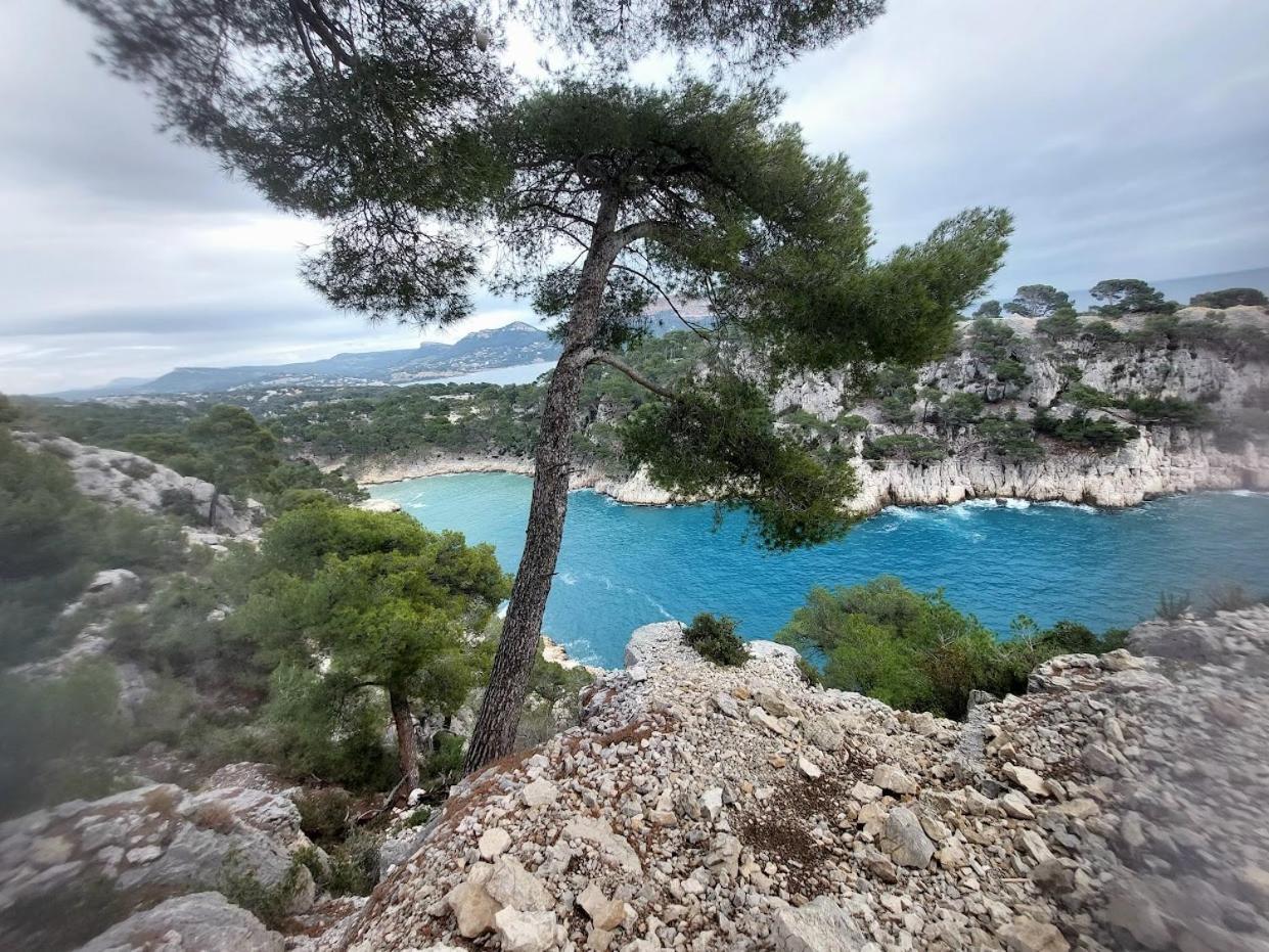 Superbe Des Catalans Marseille