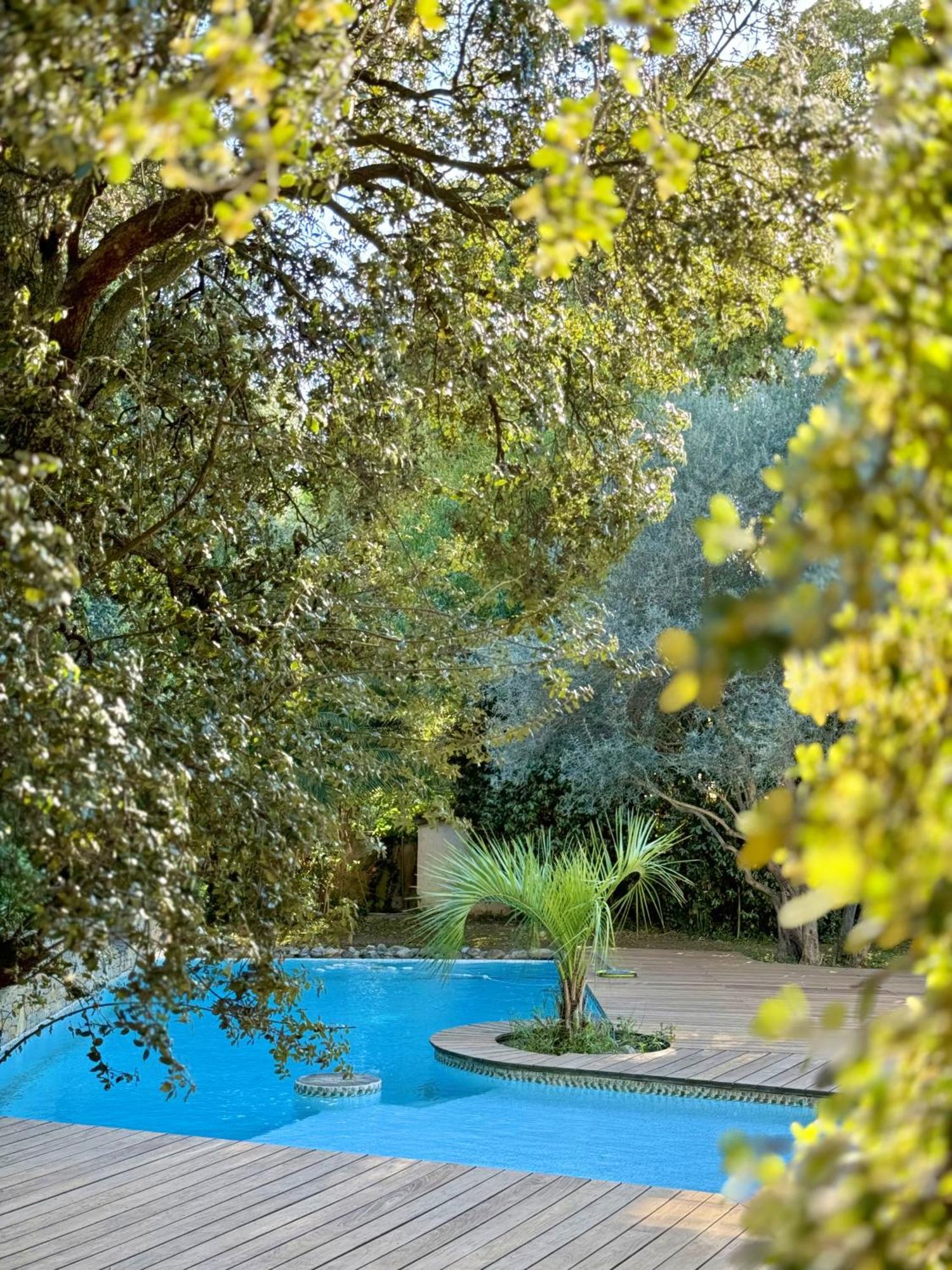 Villa D'architecte Tout Confort, Piscine & Jardin Marseilles