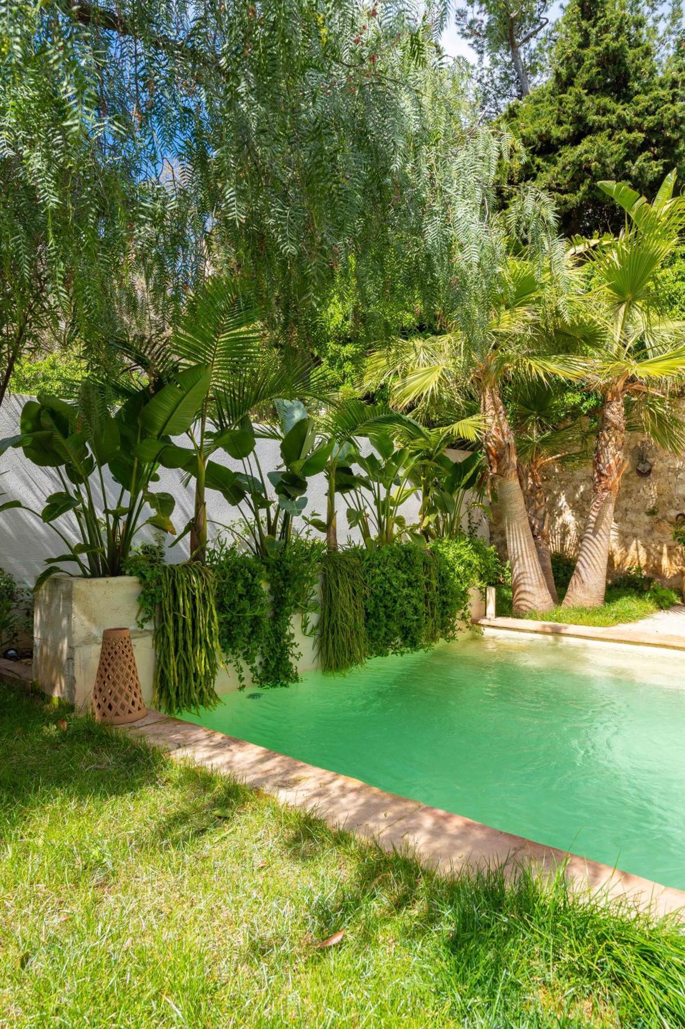 Casa Bayas Marseilles