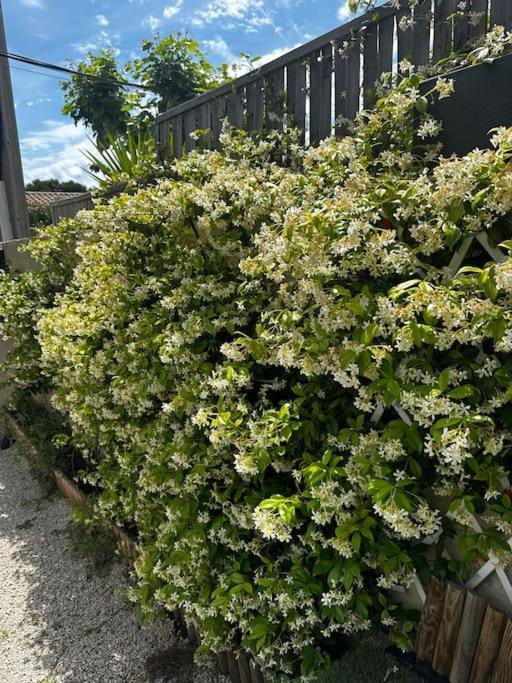 Сasa de vacaciones Magnifique Maison Avec Jardin