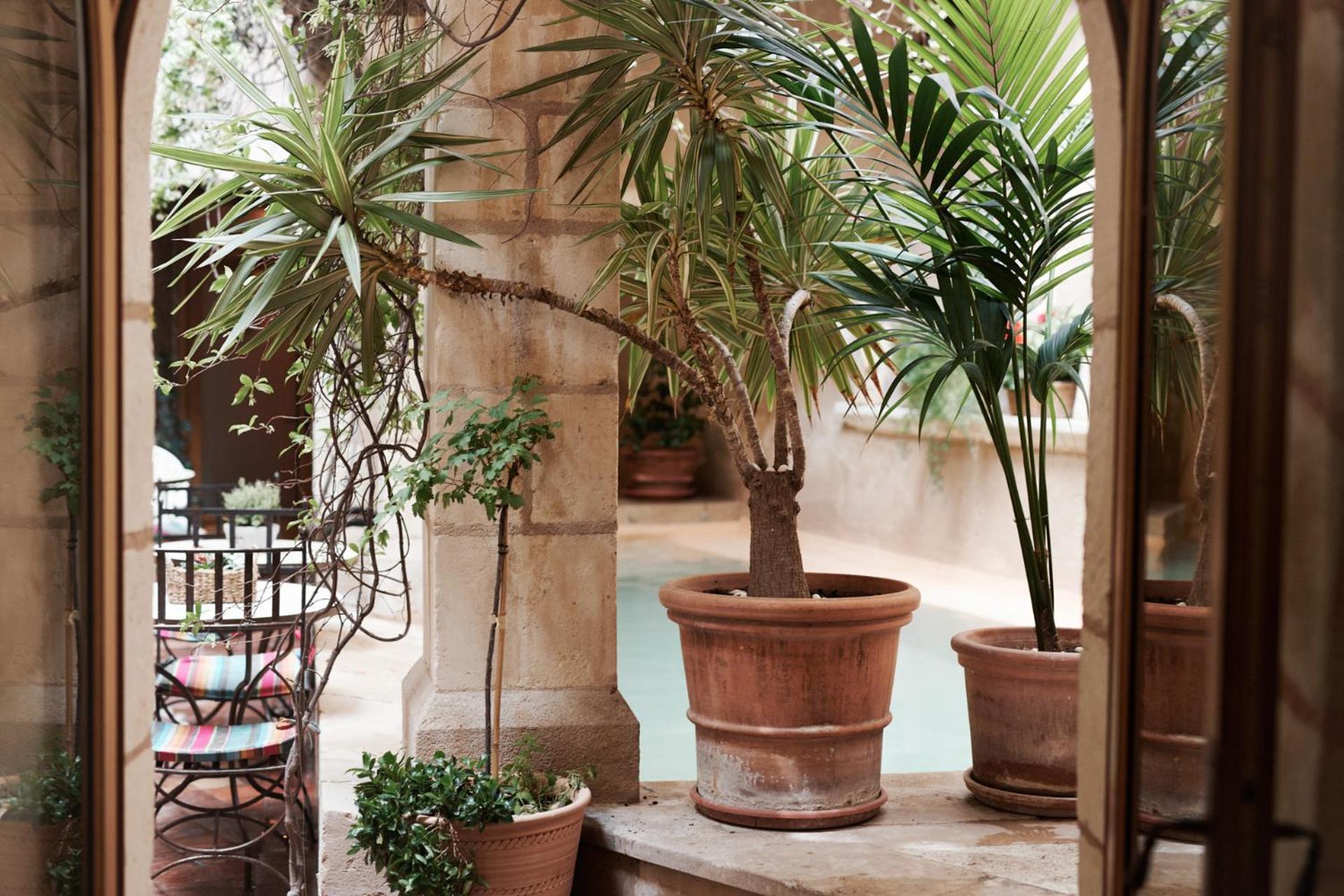 Bed & Breakfast Un Mas En