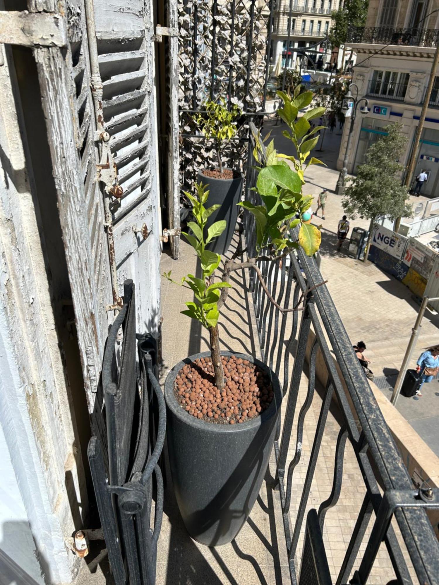 Historique Vieux Port Apartment