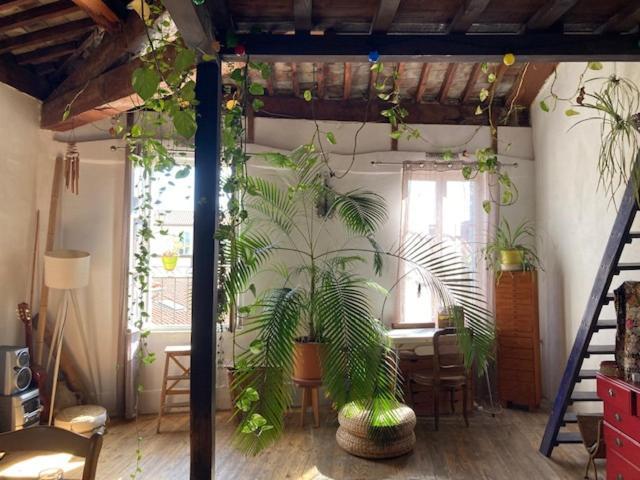 Apartamento Terrasse Vue Panoramique Au Coeur Du Panier
