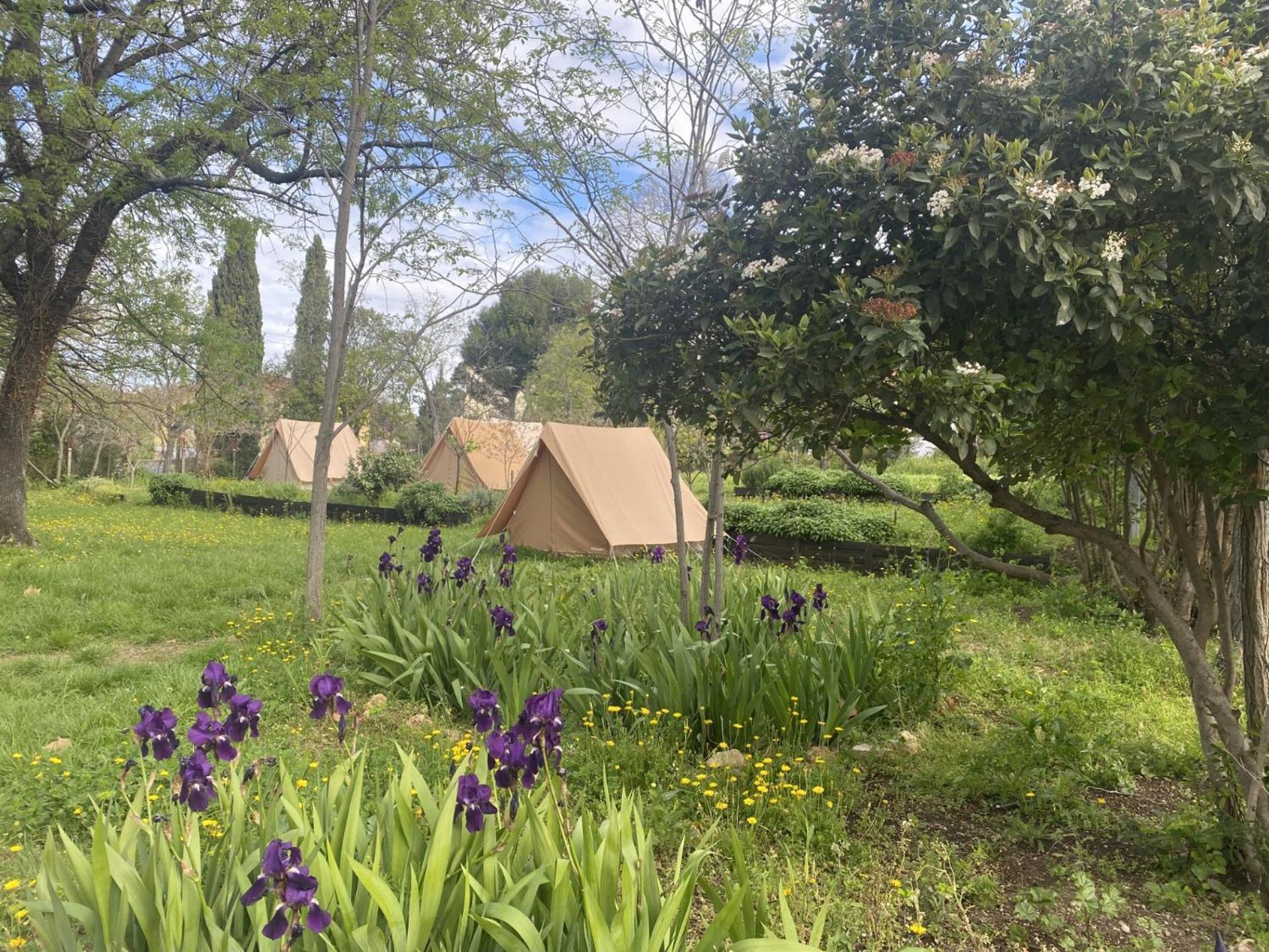 Albergue Hi Bois-luzy *