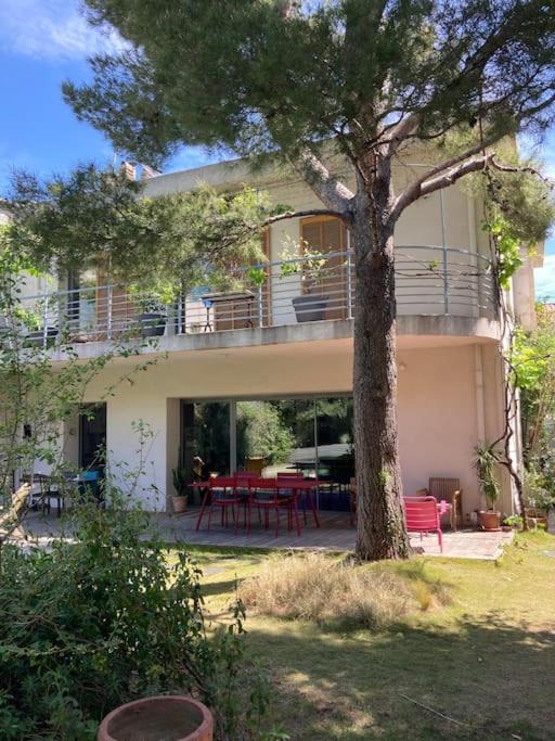 Grande Jardin Et Piscine A Endoume Marseille
