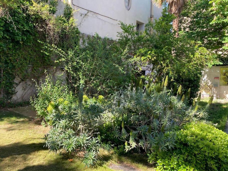 Grande Jardin Et Piscine A Endoume * Marseille