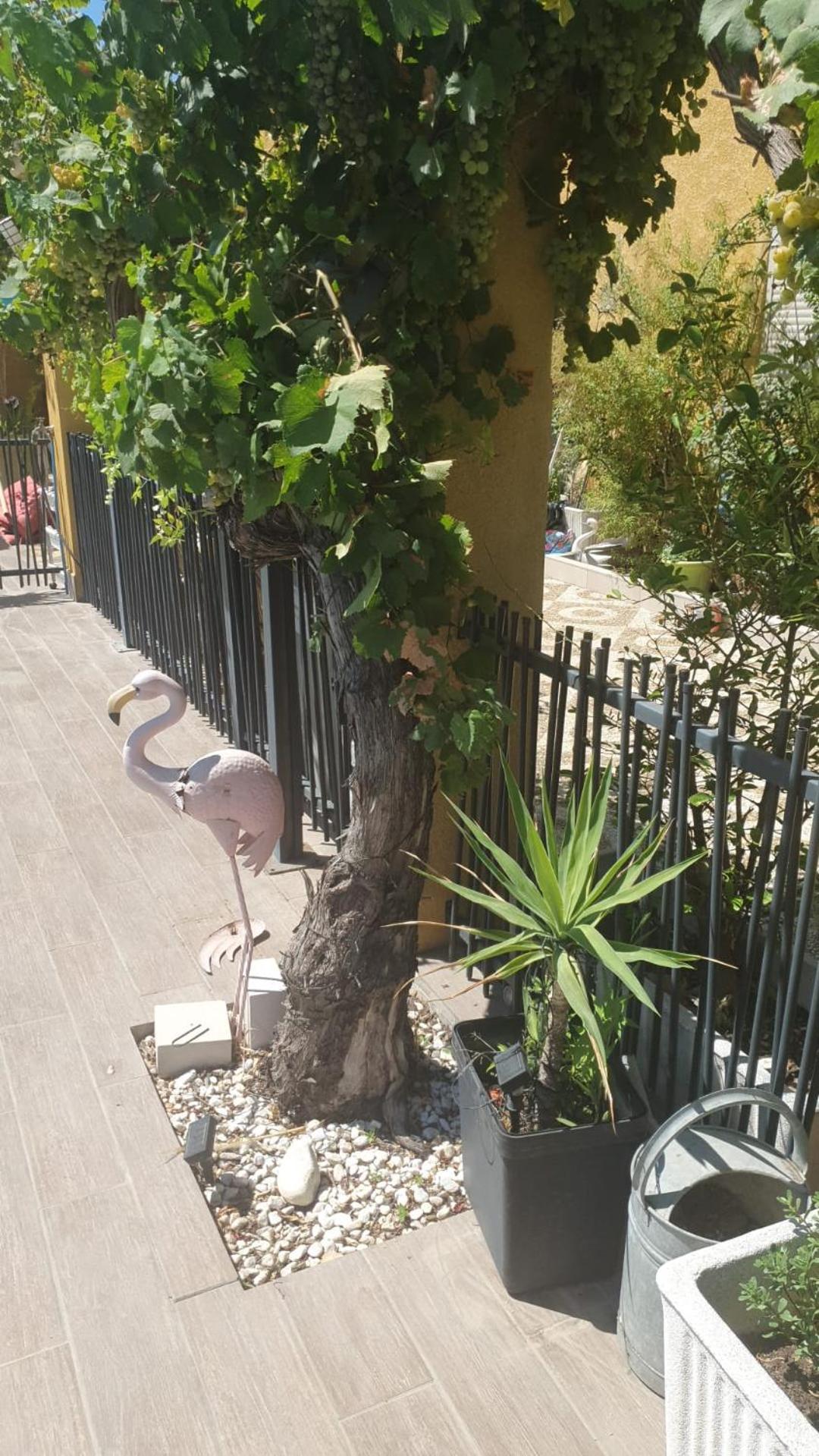 La Maison Provencale Avec Piscine Vakantiehuis