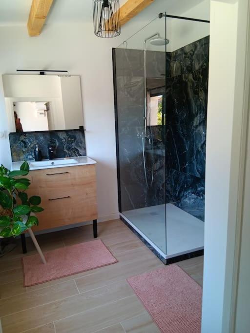 Apartment Cosy Avec Piscine Les Accatine 2 *