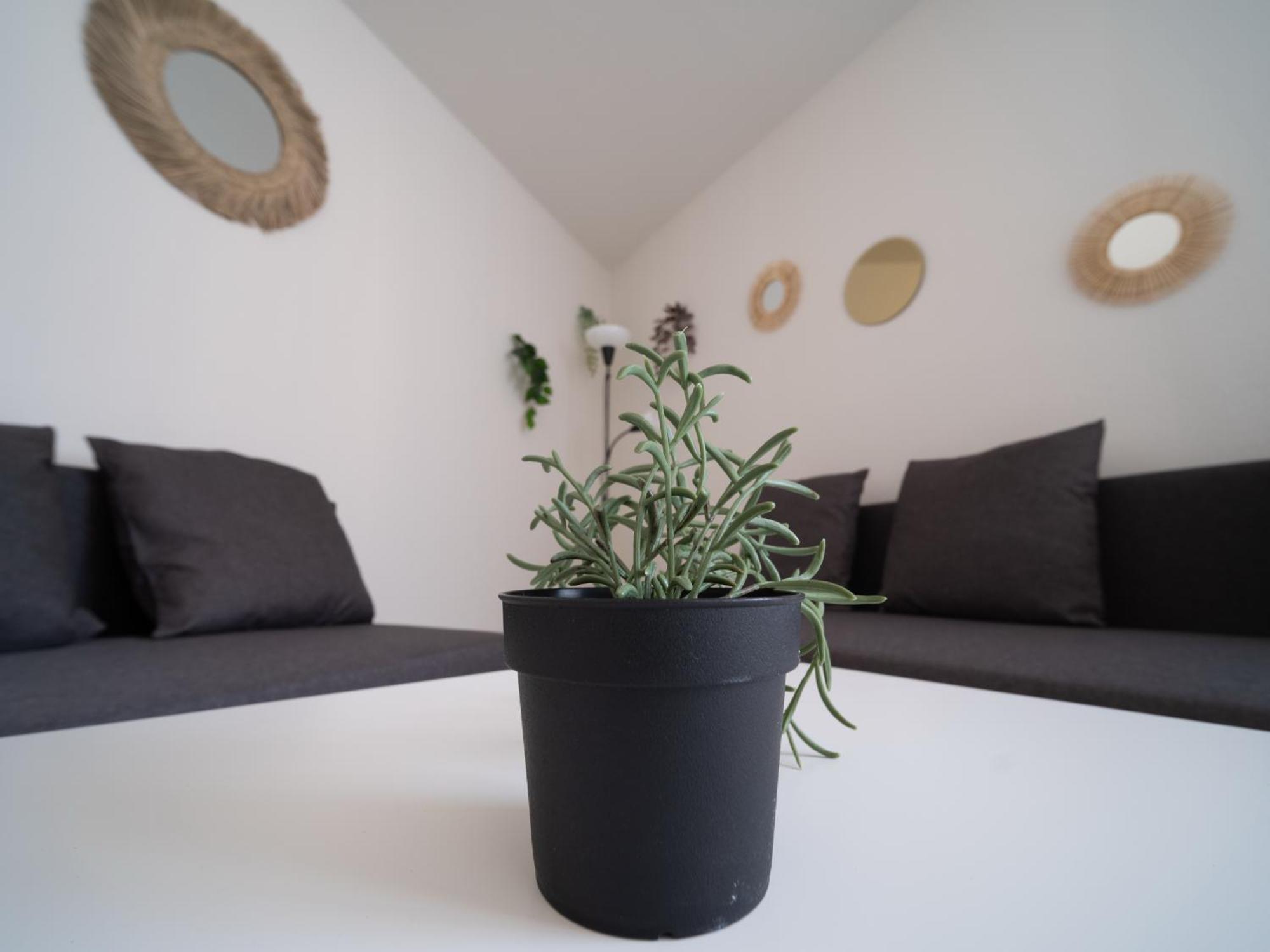 Appartement Equipe A 6min De La Gare St Charles