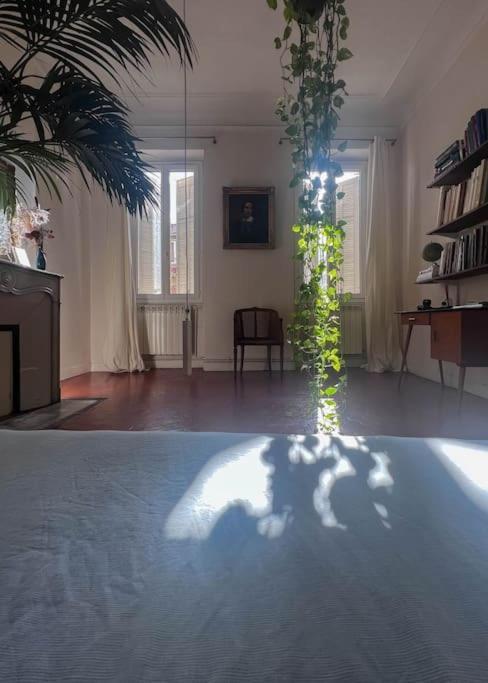 Grand Lumineux Apartment Marseille
