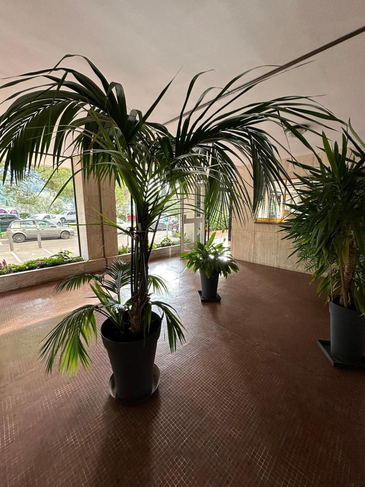 Apartment Cocon Calanques Marseille