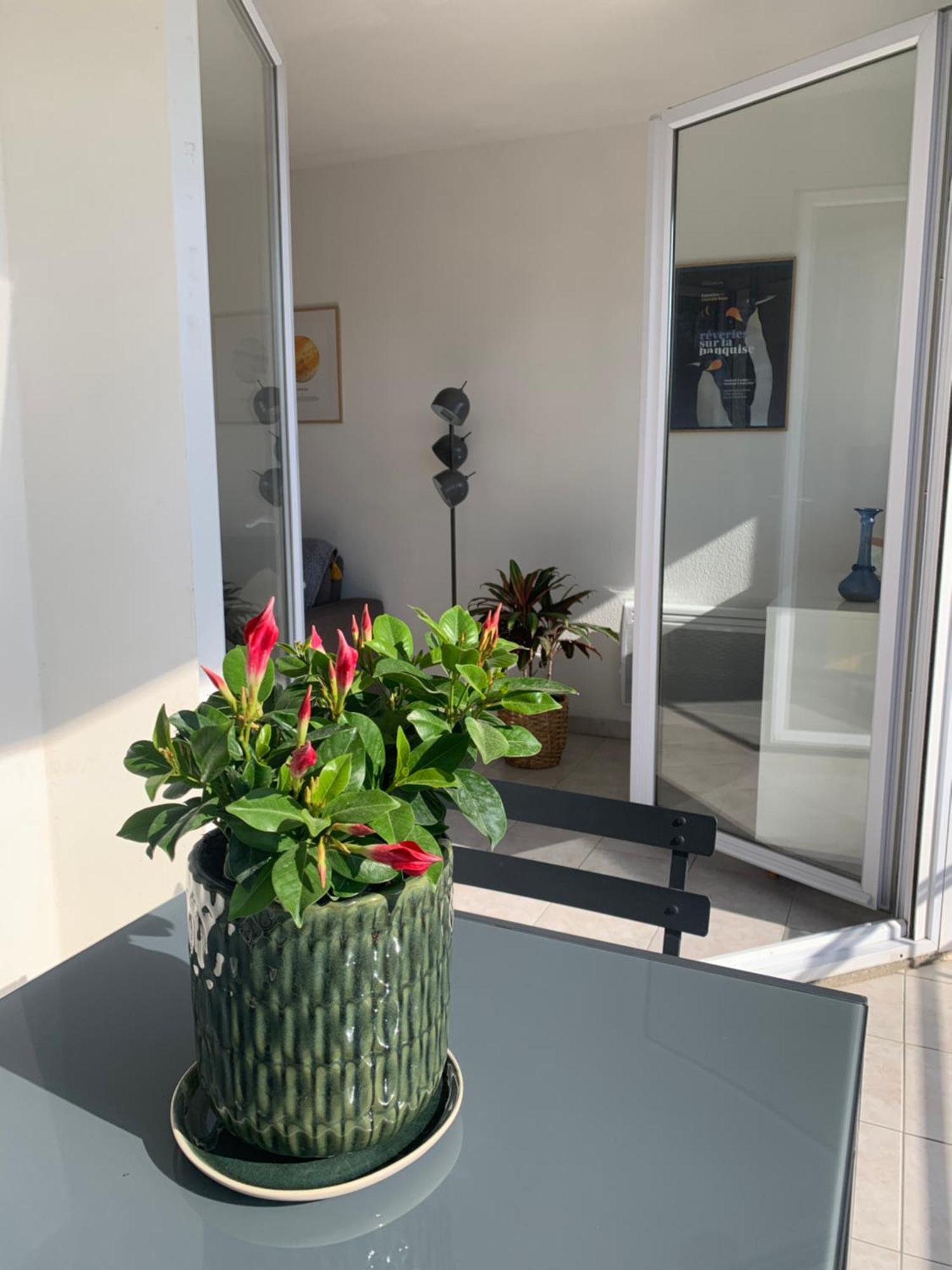 Grand T2 Pointe Rouge Apartamento *