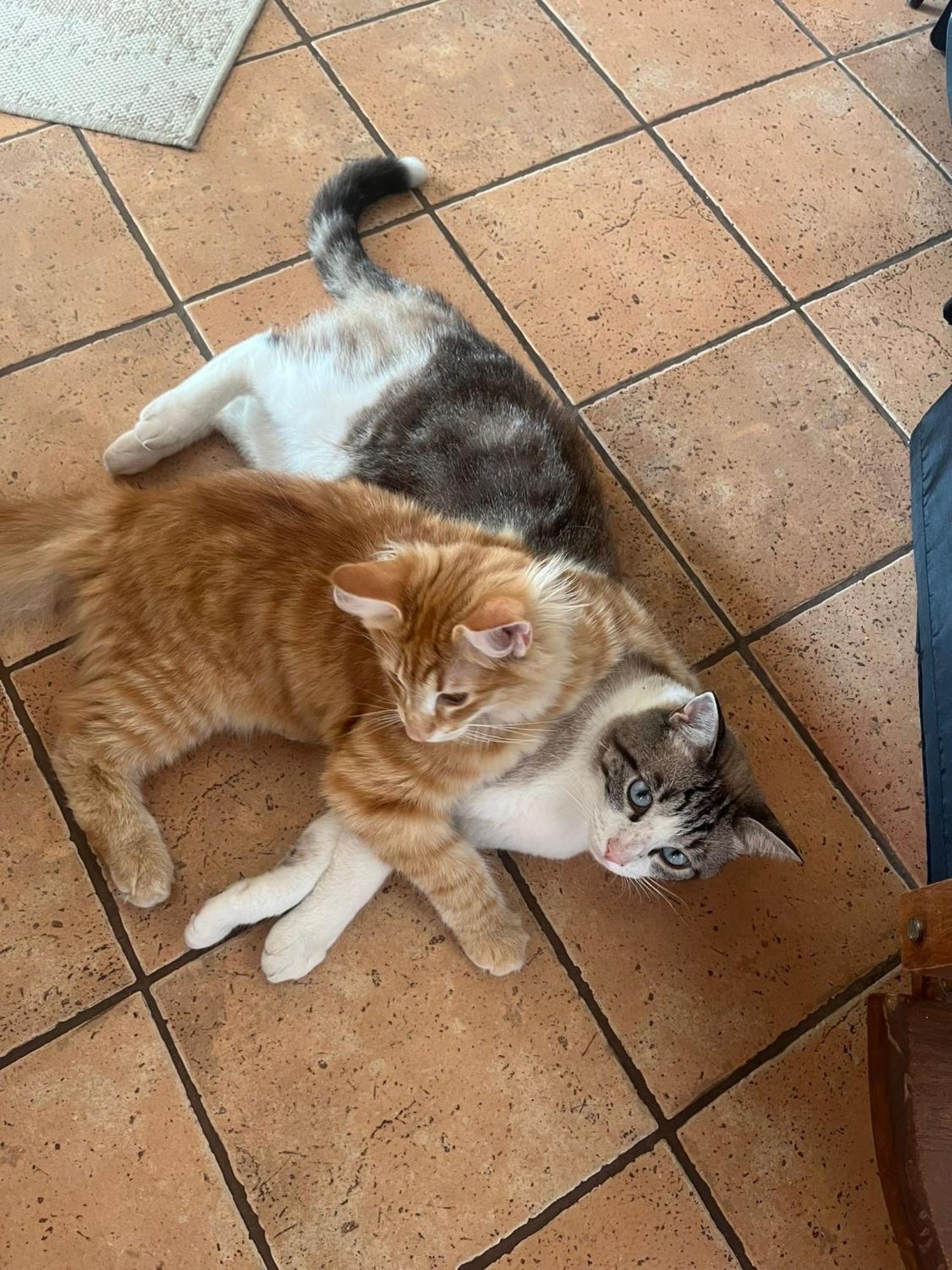 Nid Douillet Au Coeur Du Village Séjour chez l'habitant