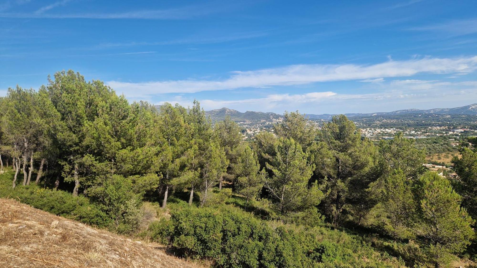 Le Cocon Marseillais