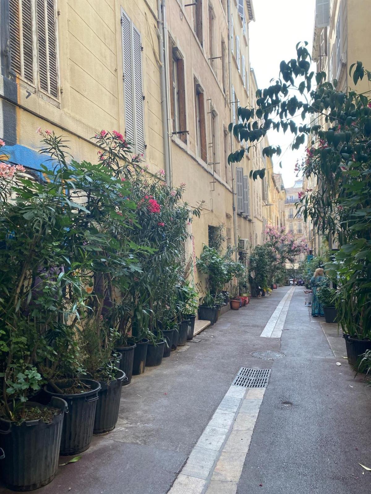 Flc Bail Mobilite - Canebiere-vieux Port-terrasse - 2 Bedrooms Căn hộ Marseille