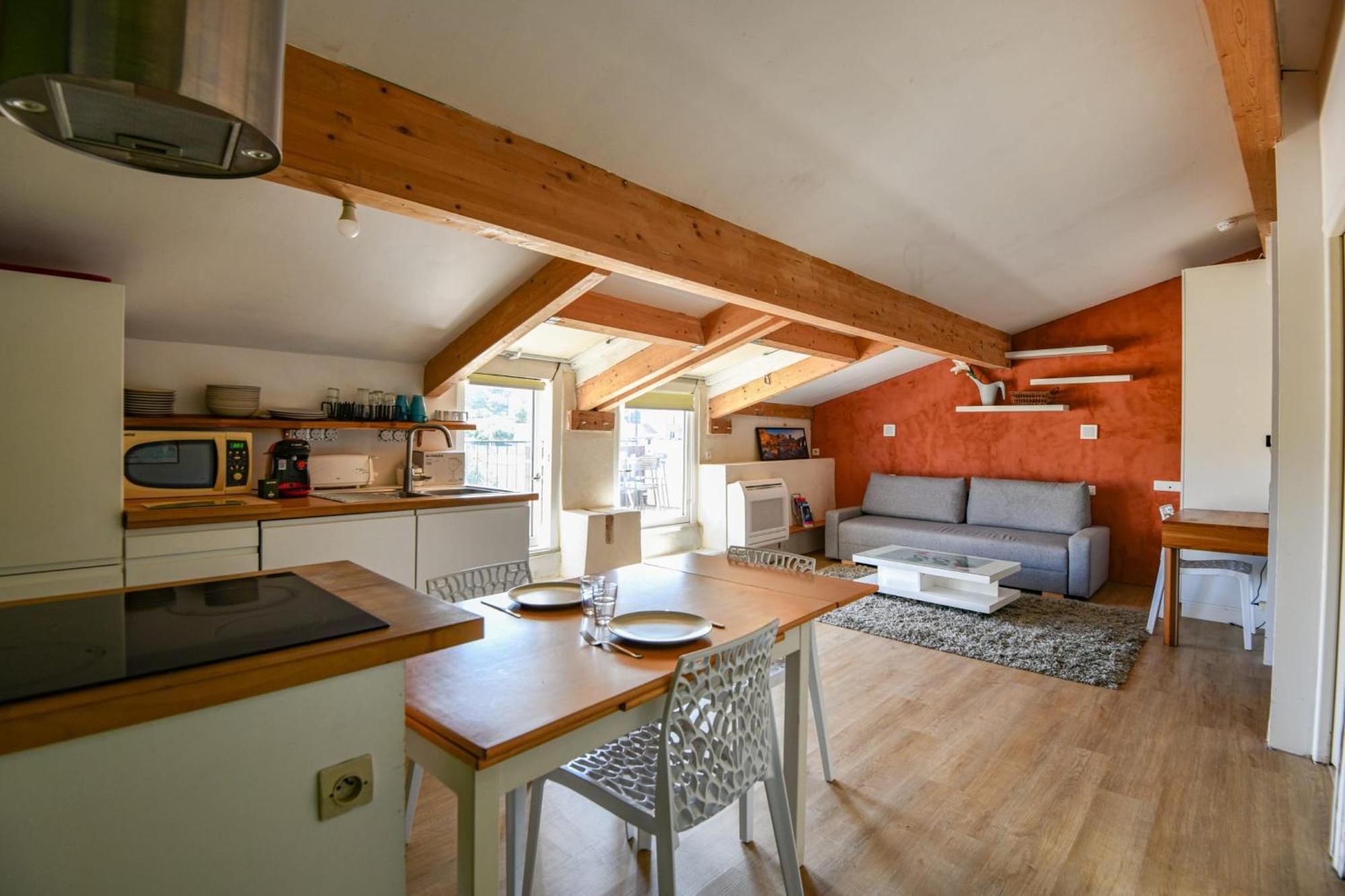 Bel Avec Terrasse Et Vue Sur Notre-dame Appartement
