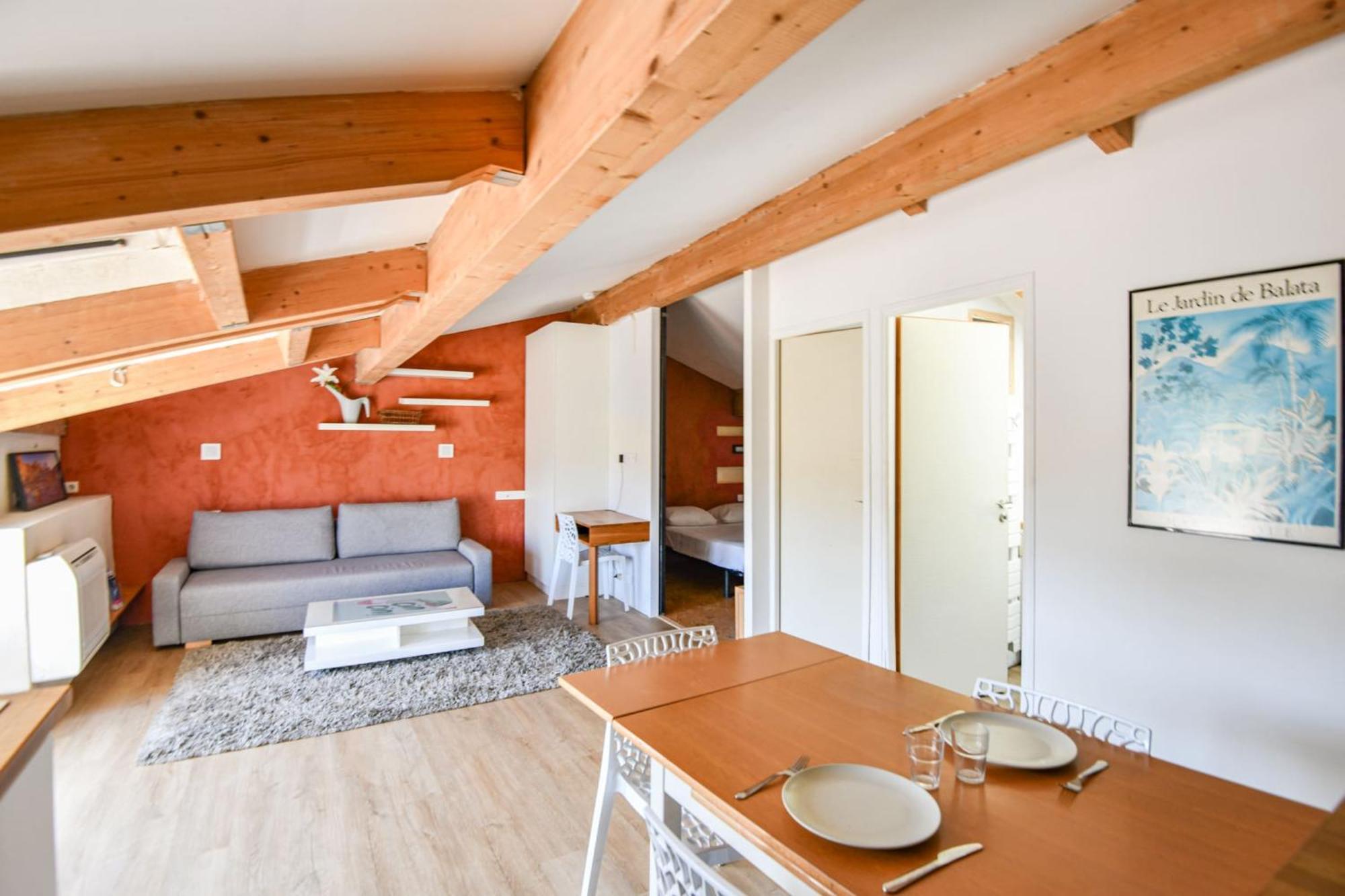 Appartement Bel Avec Terrasse Et Vue Sur Notre-dame