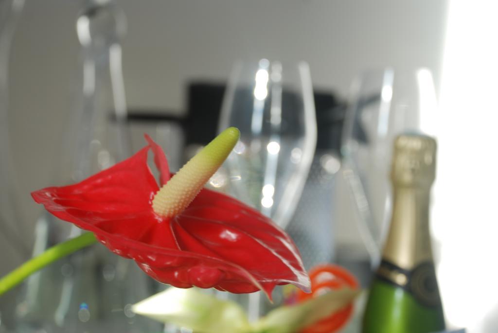 Apartment Prado Borely