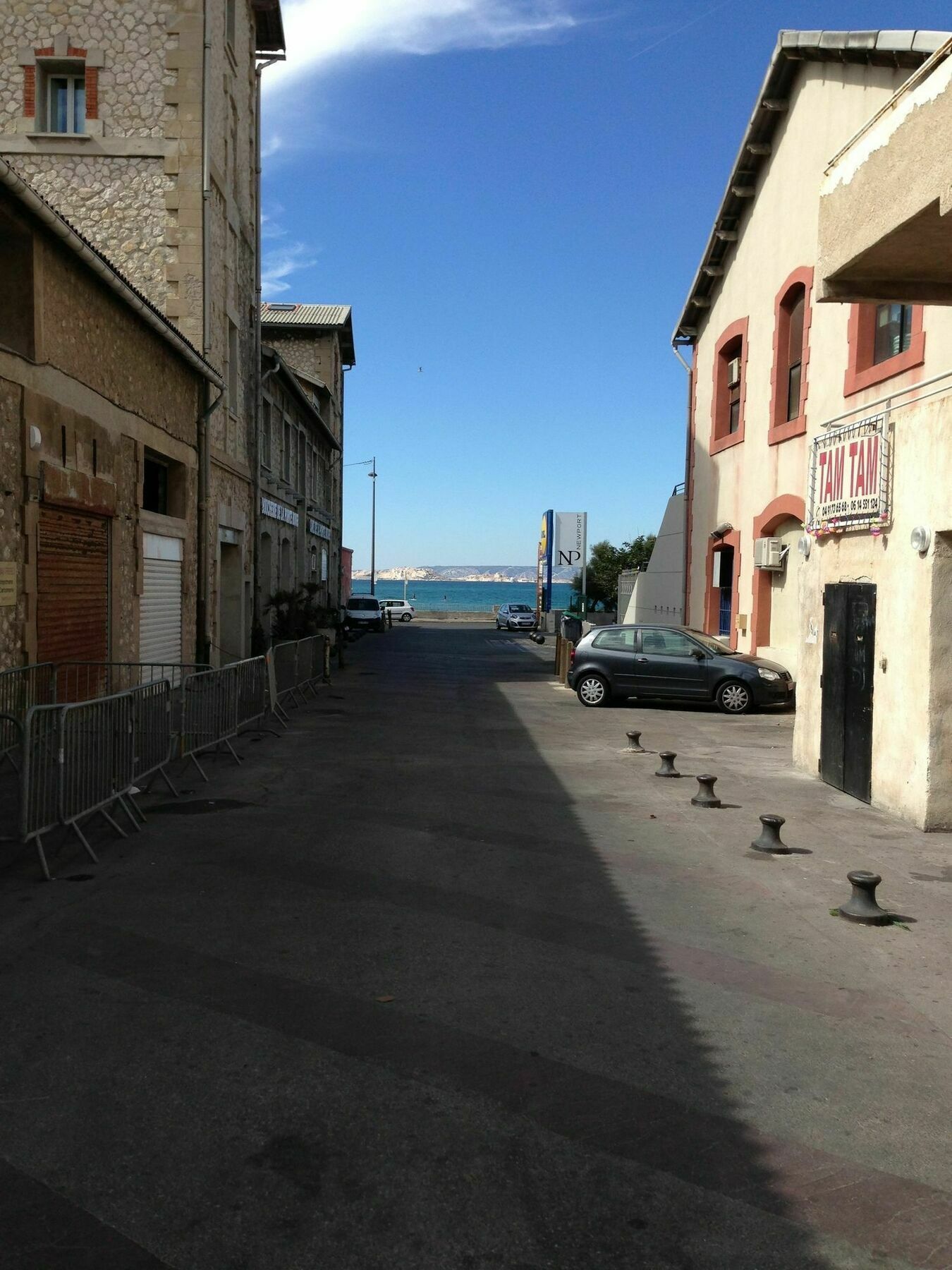 Balaena